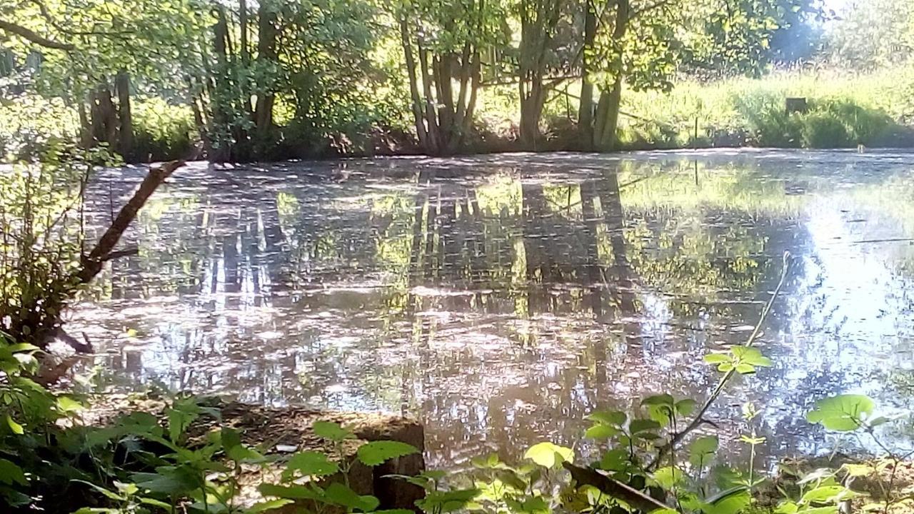 Domaine De Gentilly Saint-Maurice-lès-Charencey Εξωτερικό φωτογραφία